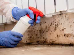 Best Attic Mold Removal  in Piermont, NY